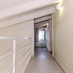 度假居 Helichrysum Lofts Family House