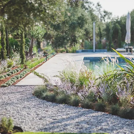 Holiday home Helichrysum Lofts Family House Khokhlasti